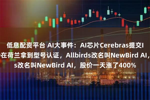 低息配资平台 AI大事件：AI芯片Cerebras提交IPO申请，特斯拉FSD在荷兰拿到型号认证，Allbirds改名叫NewBird AI，股价一天涨了400%