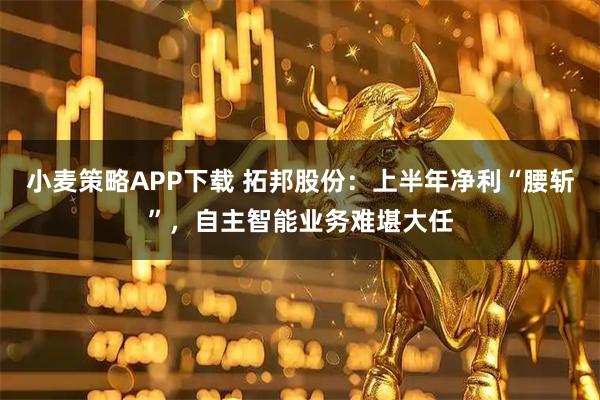 小麦策略APP下载 拓邦股份：上半年净利“腰斩”，自主智能业务难堪大任
